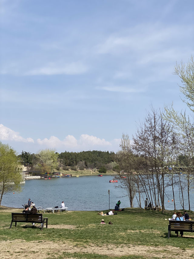 🌊 Discover Turtle Lake (Kus Tba) – Tbilisi’s Scenic Escape! 🐢