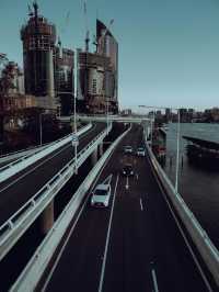 Nature in the City — Roma Street Parkland