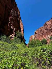 🏞Havasu falls - a hidden dessert paradise