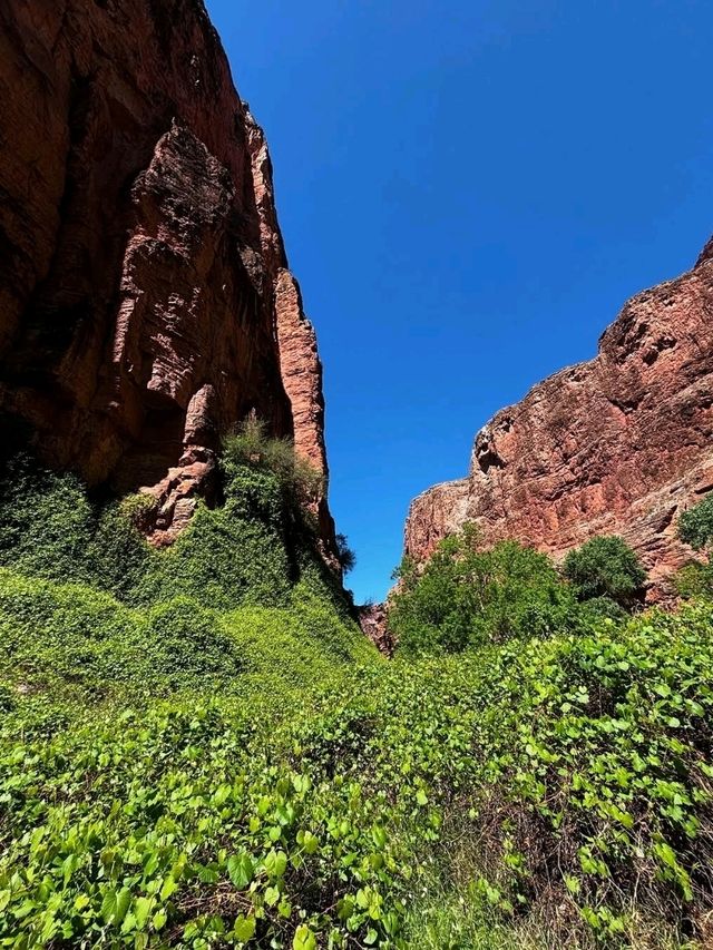 🏞Havasu falls - a hidden dessert paradise