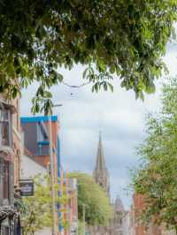 A Day with Kings and Foxes: Discovering Leicester’s Hidden Charms