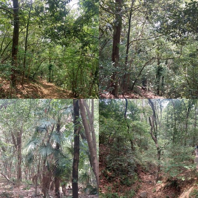Nanjing, the Zhongshan Mountain National Park is a beautiful national park