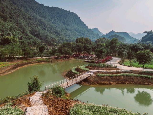 Thung Nham Bird Park: A Hidden Oasis in Tam Coc, Vietnam