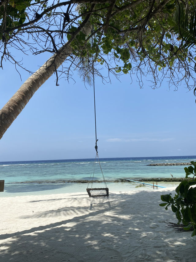 The Best Maldivian Islands for Unforgettable Snorkeling