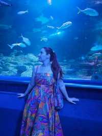 An Underwater Adventure in the Heart of Kuala Lumpur