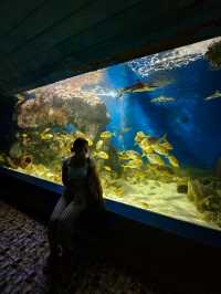 A Fascinating Visit to the Oceanographic Museum in Nha Trang