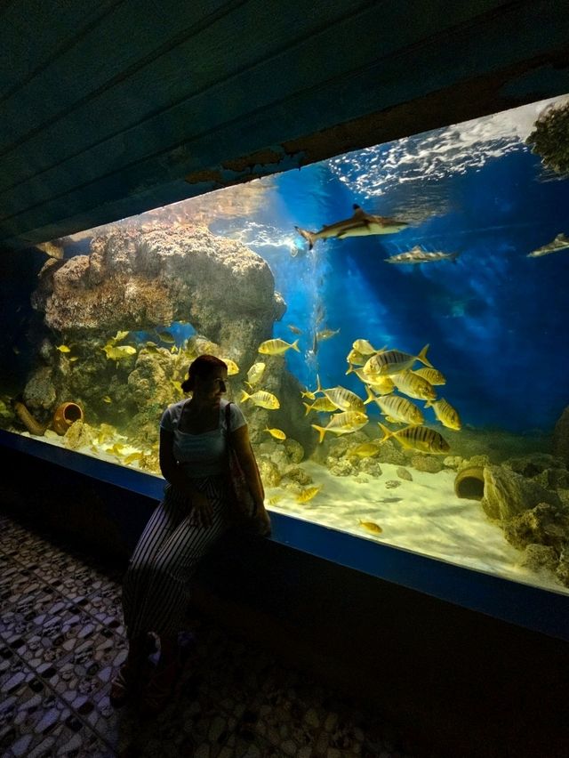 A Fascinating Visit to the Oceanographic Museum in Nha Trang
