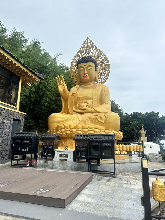 🌊 Western Jeju Day Trip: Nature, Culture & Matcha ☁️