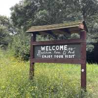 Mudchute Park and Farm: A Slice of Countryside in the City 🐑🦆🐴