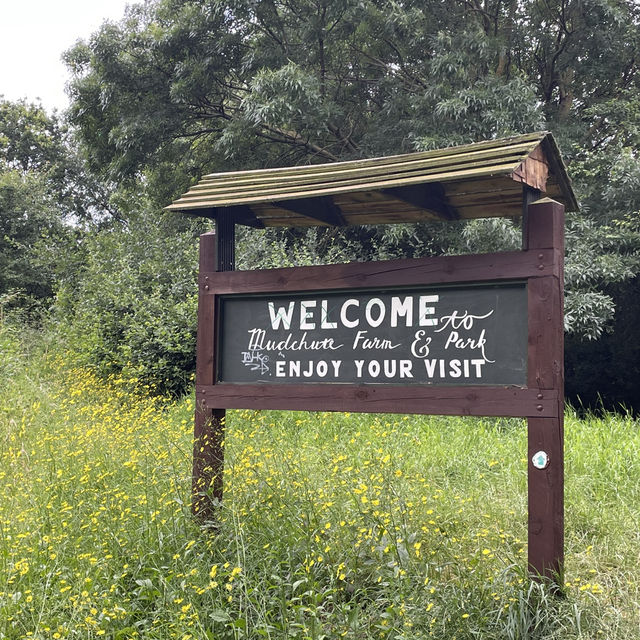 Mudchute Park and Farm: A Slice of Countryside in the City 🐑🦆🐴