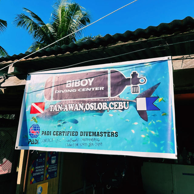 Dive Into Wonder: Cebu’s Underwater Paradise