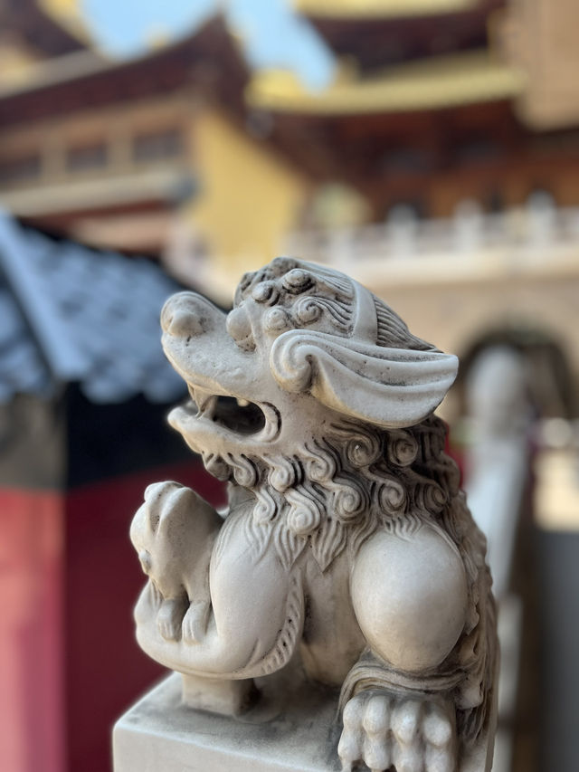 Shanghai Aesthetic Inspirations