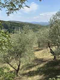 Ready for a roadtrip in Tuscany? These are my highlights!