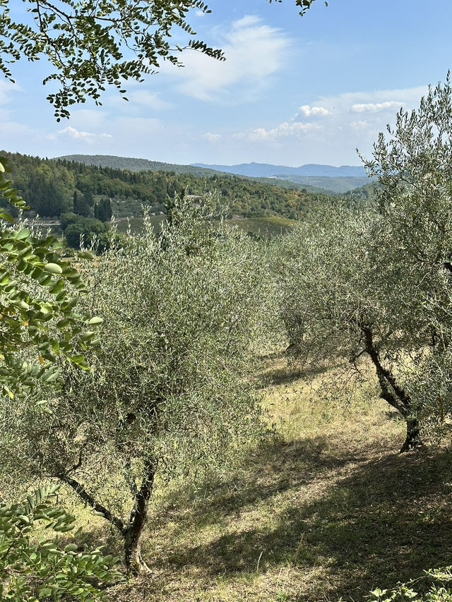 Ready for a roadtrip in Tuscany? These are my highlights!