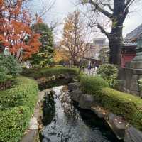 Tokyo: A City of Endless Discovery