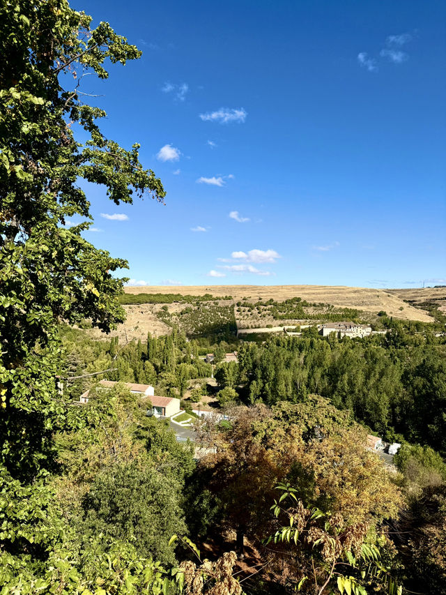 Art Rooted in Soul Art Rooted in Soul