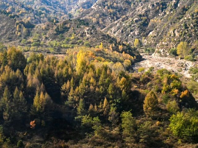 Autumn Majesty at Mount Wutai 🍂🏔️