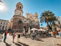 Tapas Under Palms🍽️