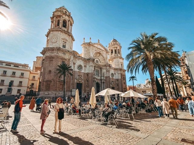 Tapas Under Palms🍽️ Tapas Under Palms🍽️