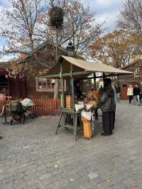 🍁 Autumn at Skansen – A Living Tapestry of Nordic Nature 🌿🧡