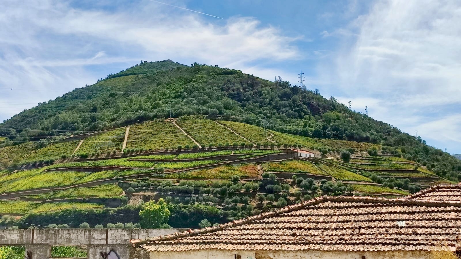 The Heart of the Douro: Vintage Port, Terraced Hills, and Pinhão 🍇🚂🇵🇹