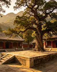 4 Places In BEIJING That Will Make You FORGET YOU'RE IN A MEGACITY 🤯🇨🇳
