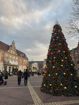 đ New Yearâs Magic: Huis Ten Bosch Illuminations & Rides