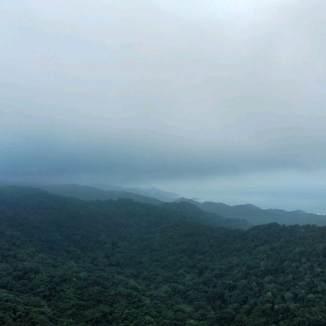Paradise:Tayrona National Park 🏖🌿🦜