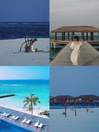 Per capita over 10,000 to come to Maldives to see the shark storm | Noku Five-Star Island is worth having a name.