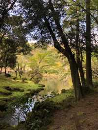 Japan Trip | Travel Guide to Narita Temple