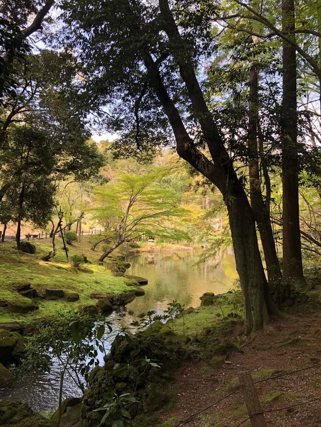 Japan Trip | Travel Guide to Narita Temple