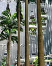 Singapore Travel | You can see the panoramic view from this sky garden!
