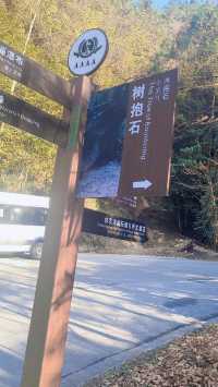 Shennong Valley National Forest Park