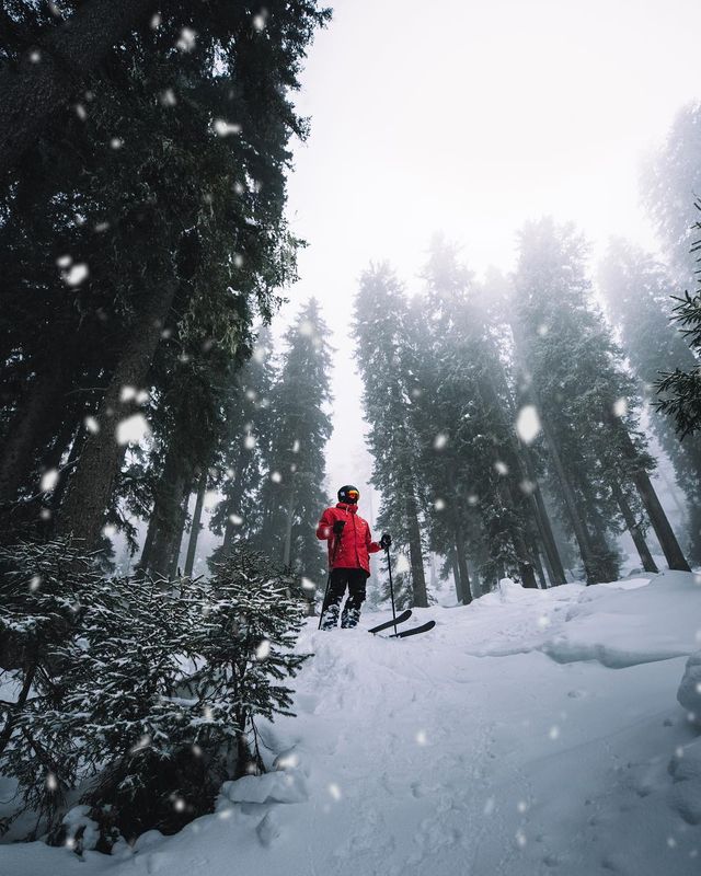 Skiing Bliss: Trading a Good Day at Work for a Thrilling Adventure ⛷️❄️