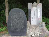 世界自然遺產日本白神山地