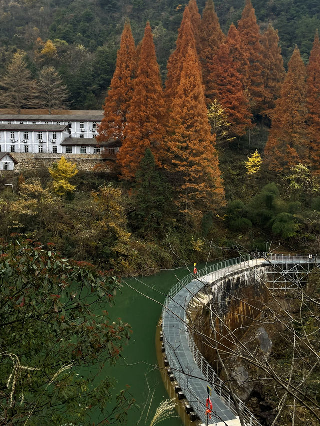 來自杭州臨安大明山的秋天