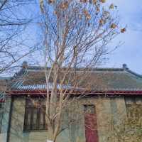 沈陽慈恩寺冬遊