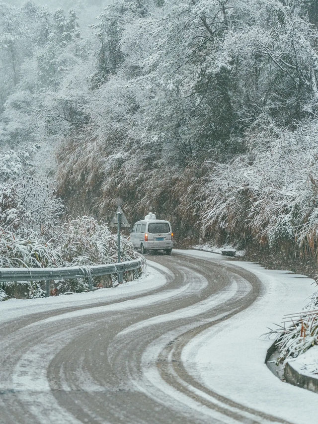 我喜歡下雪天，更喜歡帶我看雪的你