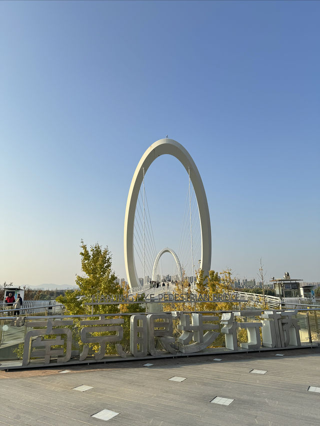 打卡南京青奥公園！散步吸氧好去處！