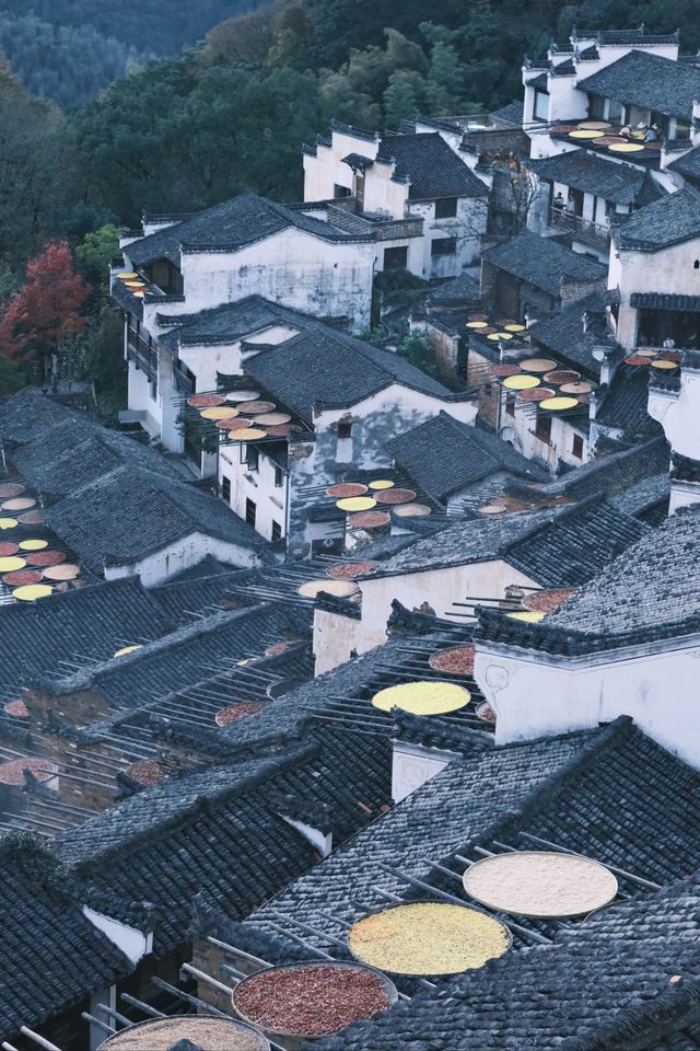 婺源——江西的世外桃源