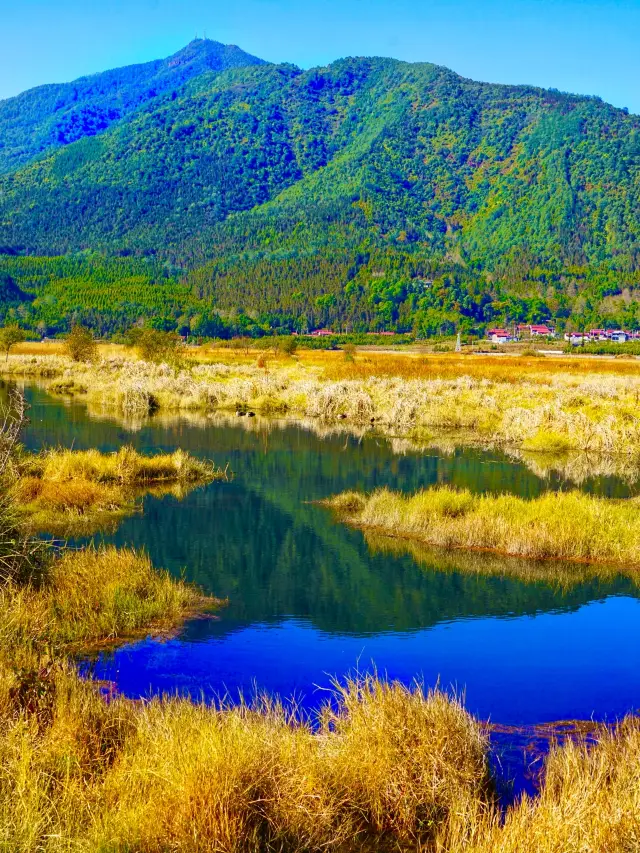 Tengchong, Yunnan | Beihai Wetland | Plateau Volcano Barrier Lake Wetland