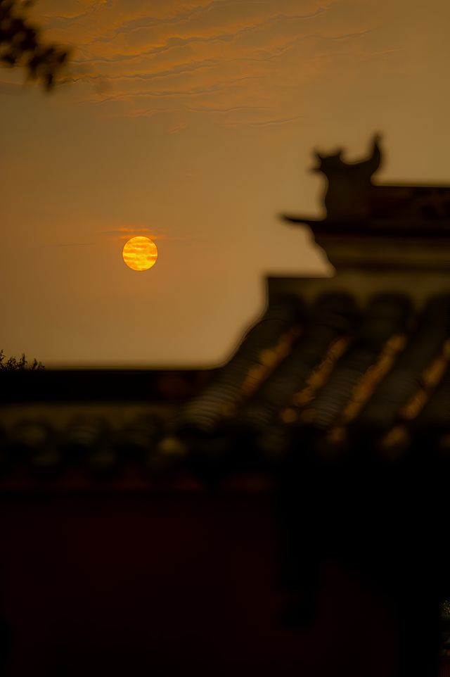 藏在蘇州周邊的百年銀杏地常熟小故宮