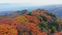 初次見旺蒼，是鹽井河峽谷的紅葉季秋日童話