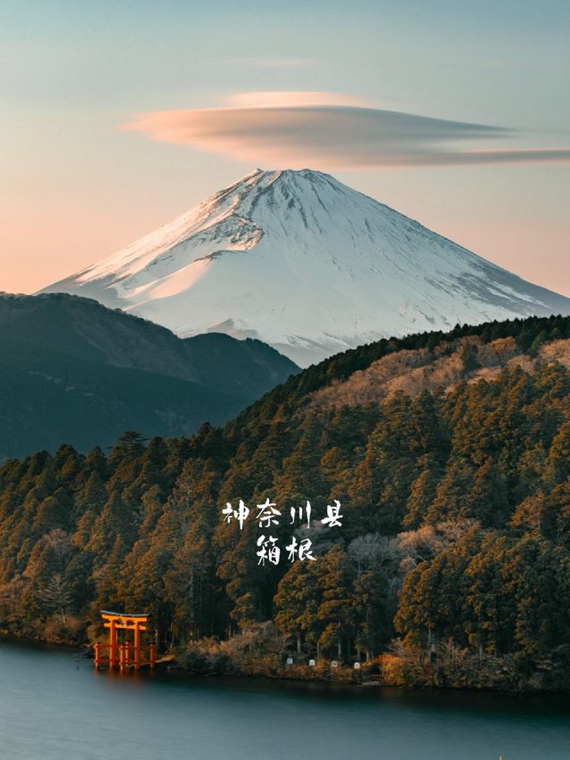 旅拍風光｜箱根的夕陽｜富士山與鳥居⛩️