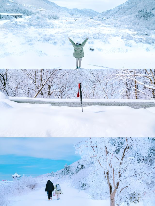 下週杭州初雪降臨5條霧凇賞雪徒步線快收藏！