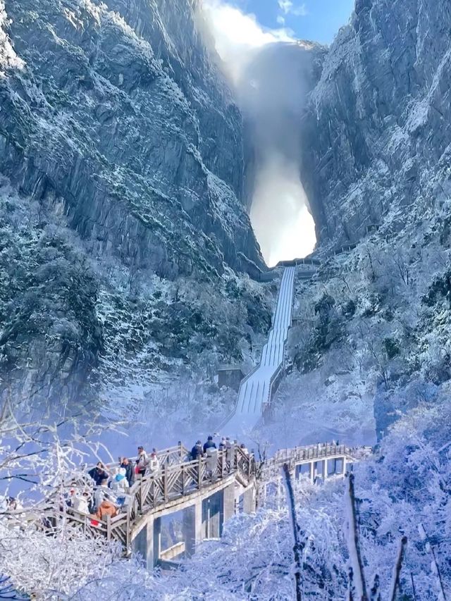 走進天下第一山門 | 人間仙境張家界