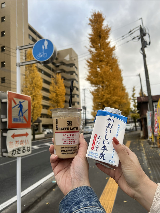 日本旅行｜上海-佐質之交通住宿保姆級教程