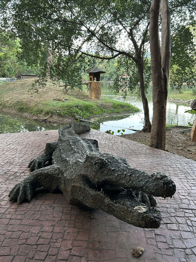 在清邁夜間動物園打卡，親密接觸可愛的動物