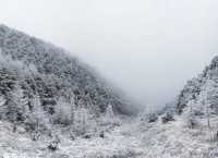 沒有看過雞峰山落雪景色，怎能算是完美的冬天呢
