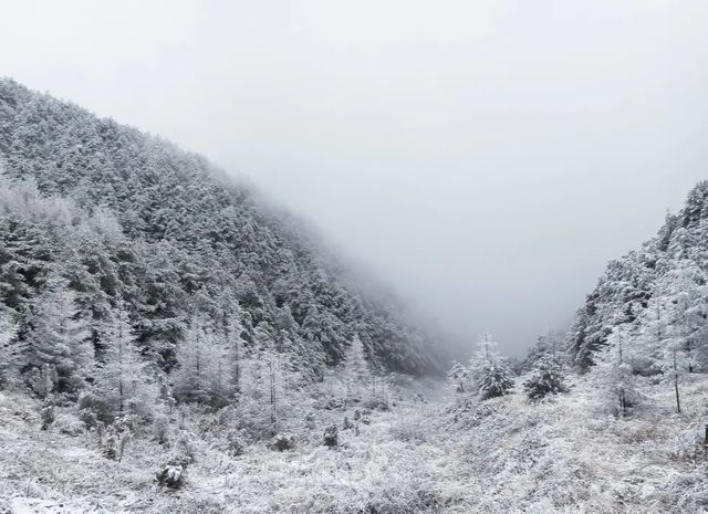 沒有看過雞峰山落雪景色，怎能算是完美的冬天呢